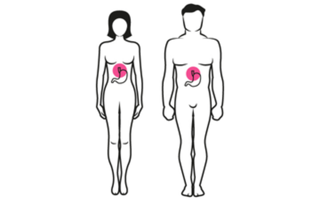 Proteïnerijke koolhydraatarme voeding en begeleiding